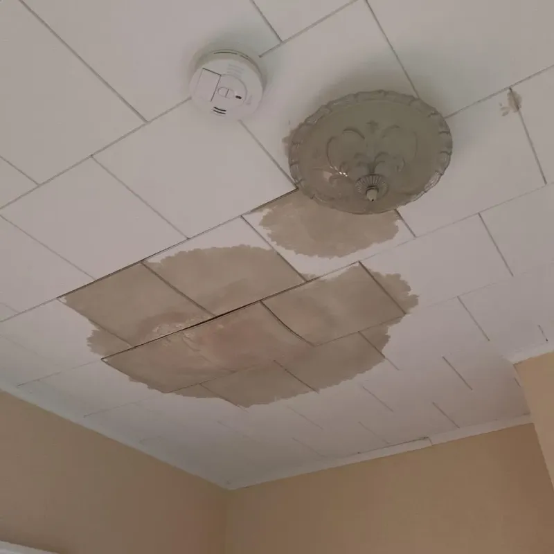 Ceiling Water Damage Repair in Millbury, OH
